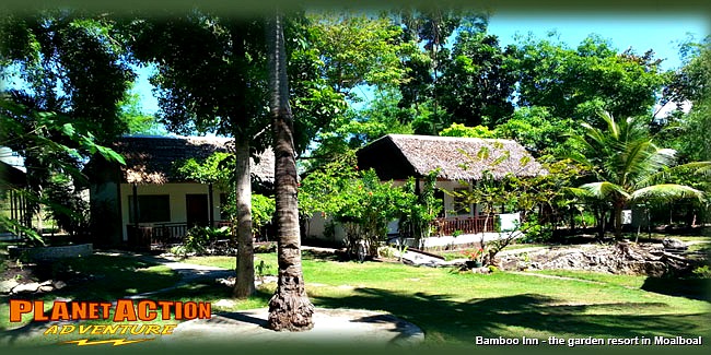 Bamboo Inn Moalboal | Traveling Cebu