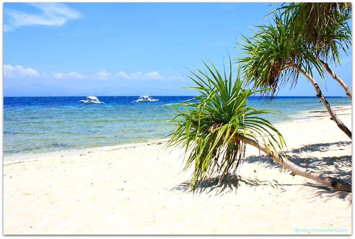 Basdaku Beach Resort In Moalboal